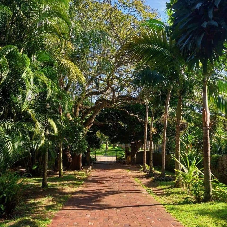 Parkers Cottages Saint Lucia Estuary 외부 사진